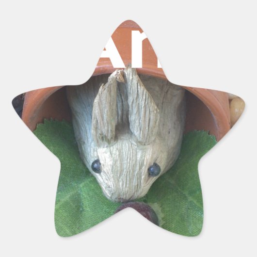 Bunny Zuhause Honey Am Zuhause Stern-Aufkleber (Vorderseite)