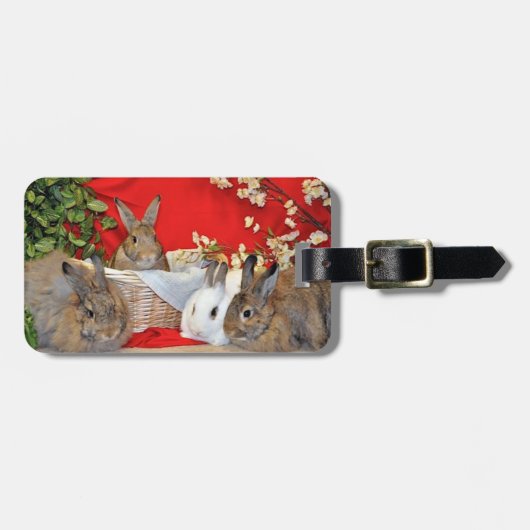 BunnyLuv Gepäckanhänger mit (Vorderseite horizontal)