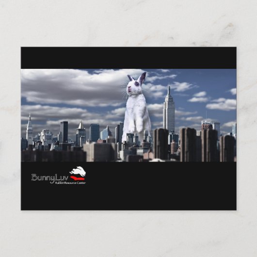 BunnyLuv Postcard mit Emma Postkarte (Vorderseite)