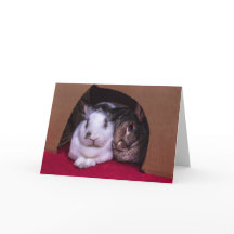 BunnyLuv Valentine's Day Card (von ihr)