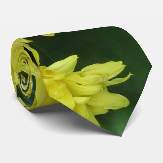 bunt+ Blume, Garten+ Gnome, Krawatte (Gerollt)