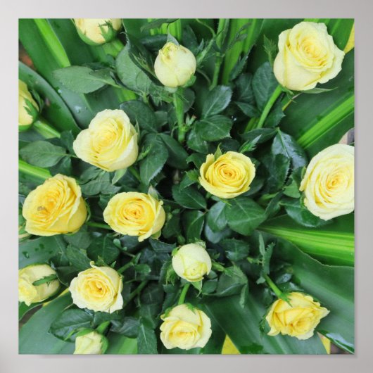 bunt+ Blume, Garten+ Gnome, Poster (Vorne)