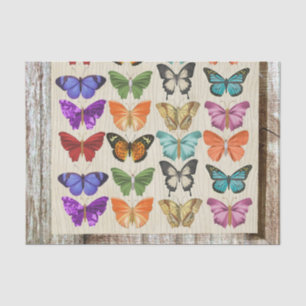 Bunt gefärbte Pastell-Schmetterlinge Seidenpapier