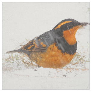Buntbrachdrossel Singvogel an schneereichem Winter Stoff