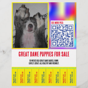 Bunte abreißbare Welpen-Verkaufsflyer  Flyer