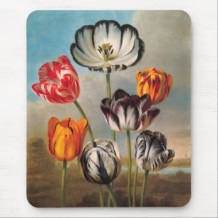 Bunte alte Tulpenblüten in einer Landschaft Mousepad
