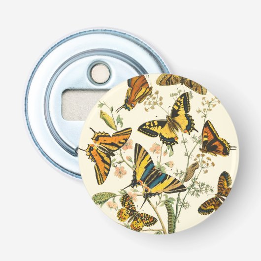 Bunte Ansammlung der Schmetterlinge und der Raupen Flaschenöffner (Vorderseite)