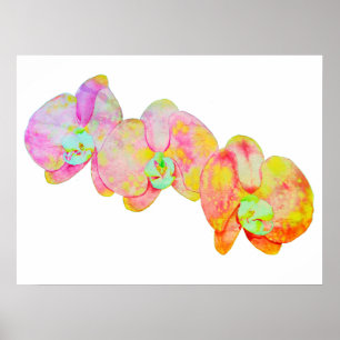 Bunte Aquarell-Orchideen-Malerei Poster
