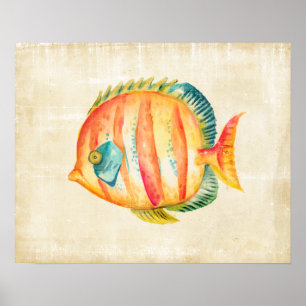 Bunte Aquarium-Fische Poster