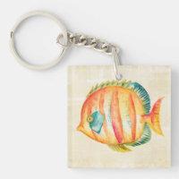 Bunte Aquarium-Fische