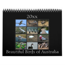 Bunte australische Vögel