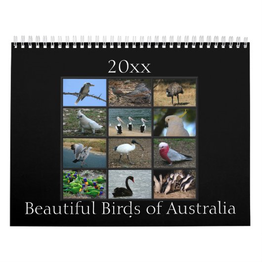 Bunte australische Vögel Kalender (Titelbild)