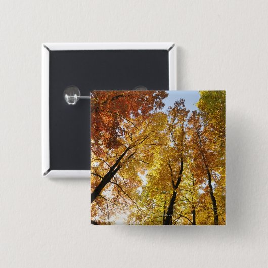 Bunte Bäume Button (Vorne & Hinten)