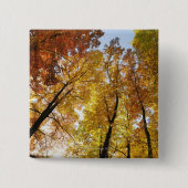 Bunte Bäume Button (Vorderseite)