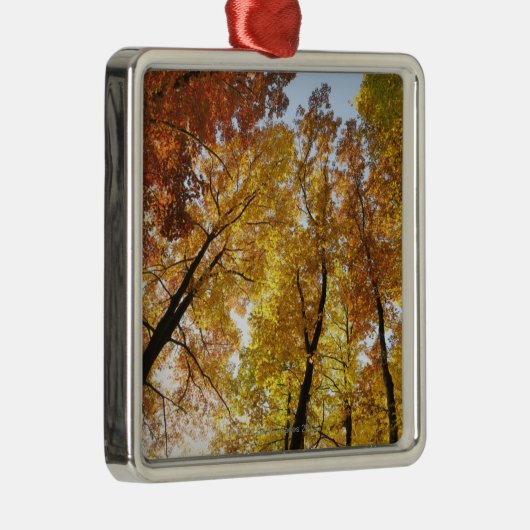 Bunte Bäume Silbernes Ornament (Rechts)