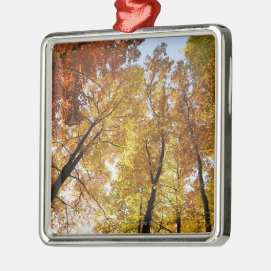 Bunte Bäume Silbernes Ornament (Links)