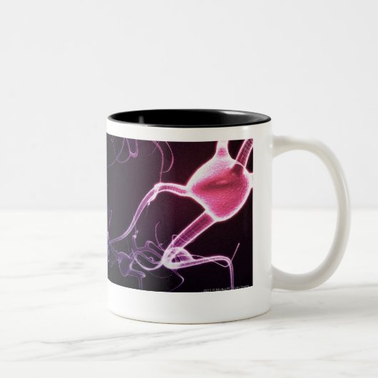 Bunte Beschreibung der Neuronen Zweifarbige Tasse (Rechts)