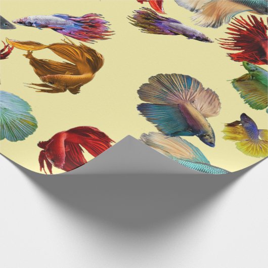 Bunte Betta Fische Geschenkpapier (Ecke)