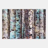 Bunte Birkenwälder Geschenkpapier Set (Vorderseite)