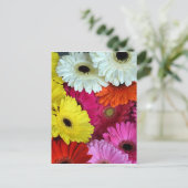 Bunte Blume Postkarte (Stehend Vorderseite)
