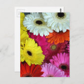 Bunte Blume Postkarte (Vorne/Hinten)