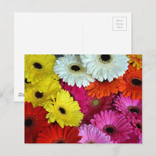 Bunte Blume Postkarte (Vorne/Hinten)