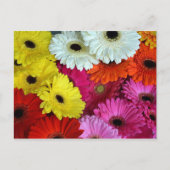 Bunte Blume Postkarte (Vorderseite)