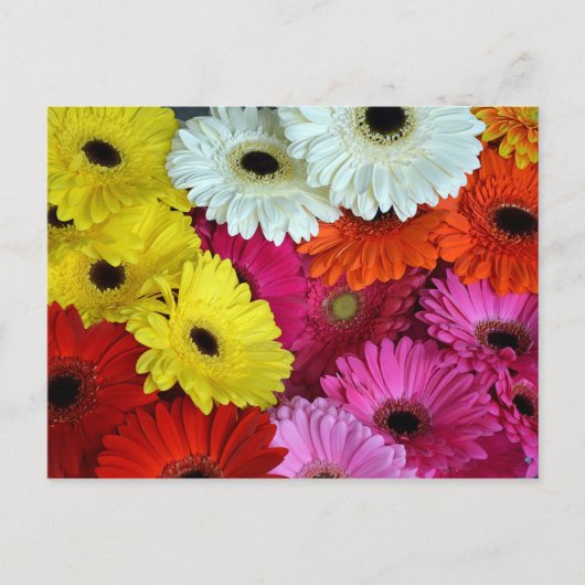 Bunte Blume Postkarte (Vorderseite)