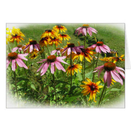 Bunte Blumen