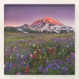 Bunte Blumen im regnerischeren Nationalpark Glasuntersetzer