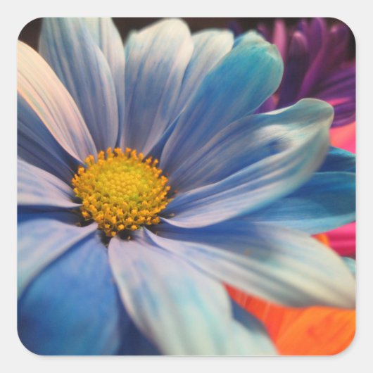 Bunte Blumen Quadratischer Aufkleber (Vorderseite)