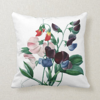 Bunte Blumen Redoute der süßen Erbse Kissen