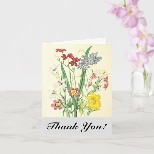 Bunte Blumen und Pflanzen, "Danke!" Postkarte (Orchidee)