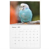 Bunte Budgien Parakeet Bird Lover Kalender (Feb 2027)