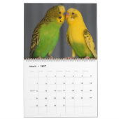 Bunte Budgien Parakeet Bird Lover Kalender (Mär 2027)