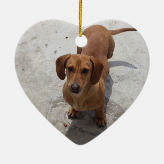 Bunte Dackel-Verzierung Keramikornament (Hinten)