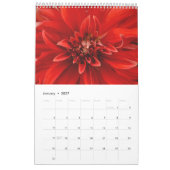 Bunte Dahlie-Blumen Kalender (Jan 2027)