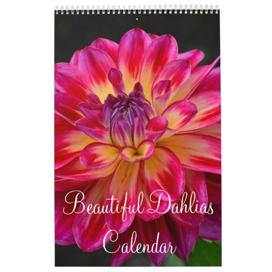 Bunte Dahlie-Blumen Kalender (Titelbild)