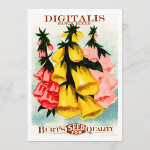 Bunte Digitalis Fingerhut Samenpackung Einladung