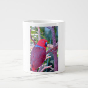Bunte eclectus Papageien-Tasse Jumbo-Tasse