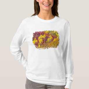 Bunte Espen im Logan Canyon Utah in der 2 T-Shirt