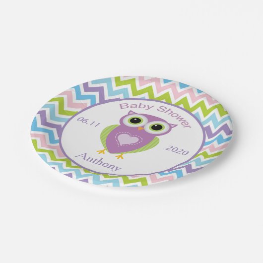 Bunte Eule, Zickzackmuster-Babyparty Platte Pappteller (Schrägansicht)