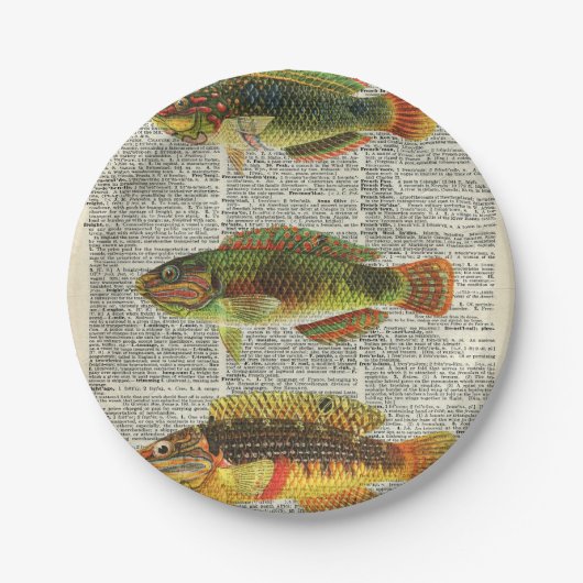 Bunte Fische Pappteller (Vorderseite)
