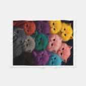 Bunte Fluffige Kätzchen Decke (Vorderseite (Horizontal))