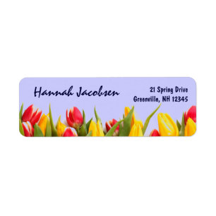Bunte Frühlings-Tulpe-blaue Hintergrund-Blumen