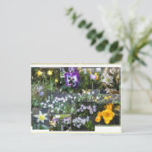 Bunte Frühlingsblumen Collage DIY Postkarte (Stehend Vorderseite)