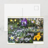Bunte Frühlingsblumen Collage DIY Postkarte (Vorne/Hinten)