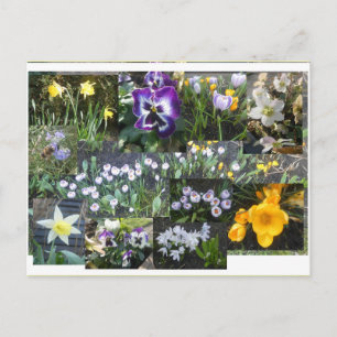 Bunte Frühlingsblumen Collage DIY Postkarte