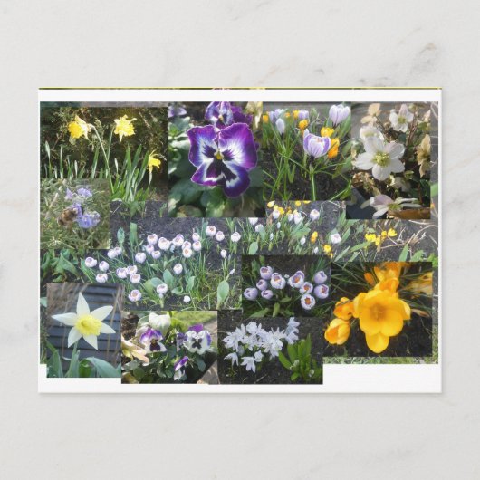 Bunte Frühlingsblumen Collage DIY Postkarte (Vorderseite)
