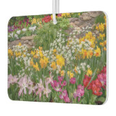 Bunte Frühlingsblumen in voller Blüte Autolufterfrischer (Links)